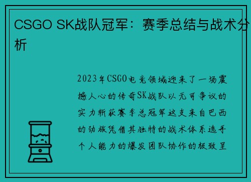 CSGO SK战队冠军：赛季总结与战术分析